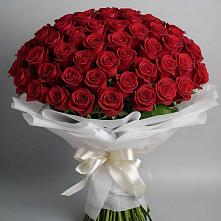 Букет 101 Красная роза Блэк Мэджик в Иванисово