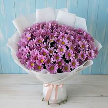 Букет цветов из:  Хризантемы в Иванисово