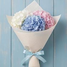 Букет цветов из:  Гортензия в Иванисово