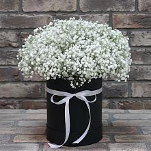 Цветочная композиция из Гипсофила в шляпной коробке в Иванисово