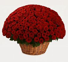 Премиум букет из: Розы в Иванисово