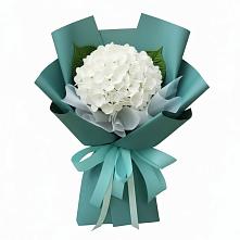 Букет цветов из:  Гортензия в Иванисово